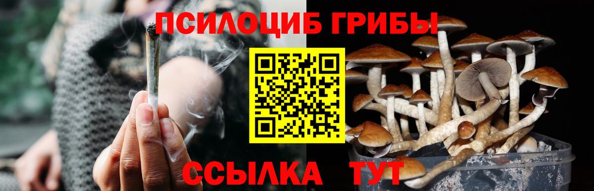 Псилоцибиновые грибы мицелий Котовск